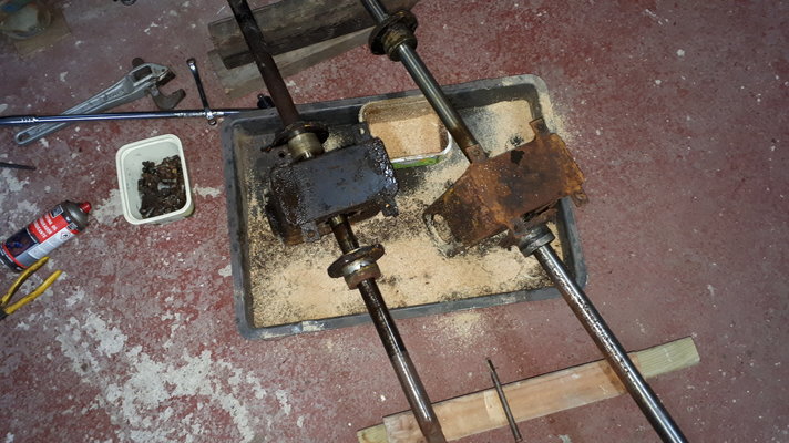 20190424_222222.jpg