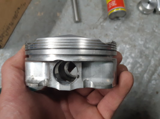 20190617_164955.jpg