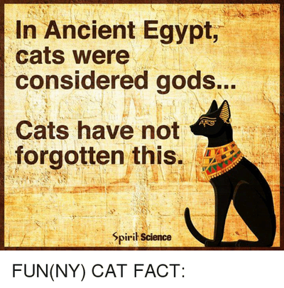 in-ancient-egypt-cats-were-considered-gods-cats-have-not-6704577.png