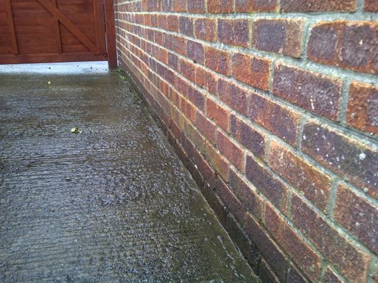 IMG-20110227-00131.jpg