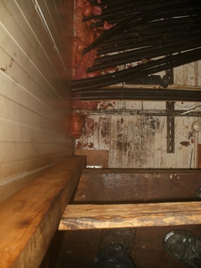 Roofspace1.jpg Roofspace1.jpg