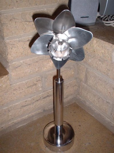 Daff (Large).JPg