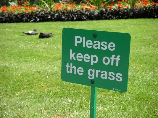 stay+off+grass-jason+wong_2b2688c7-fd7f-4c06-a237-b93d6921aef0-prv.jpg