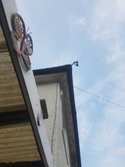 20190709_200017.jpg