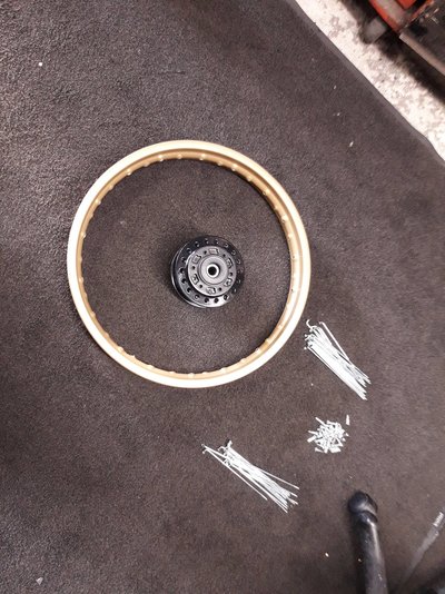 20190224_151131.jpg