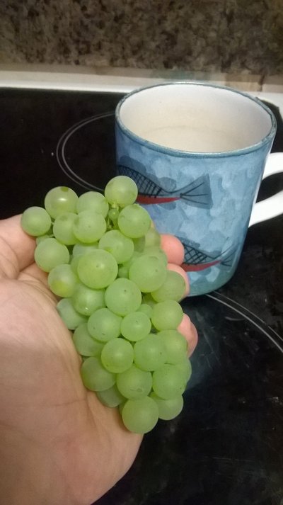 WP_20190818_20_33_00_Pro.jpg