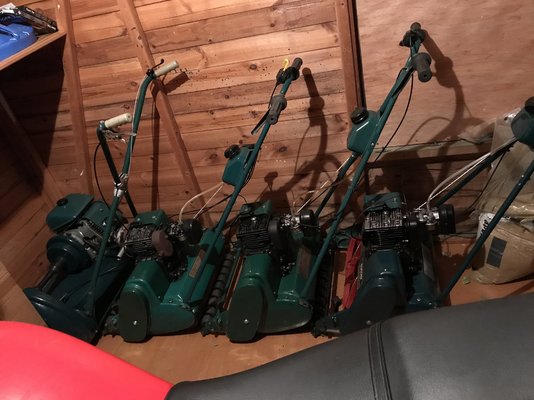 mow.jpg