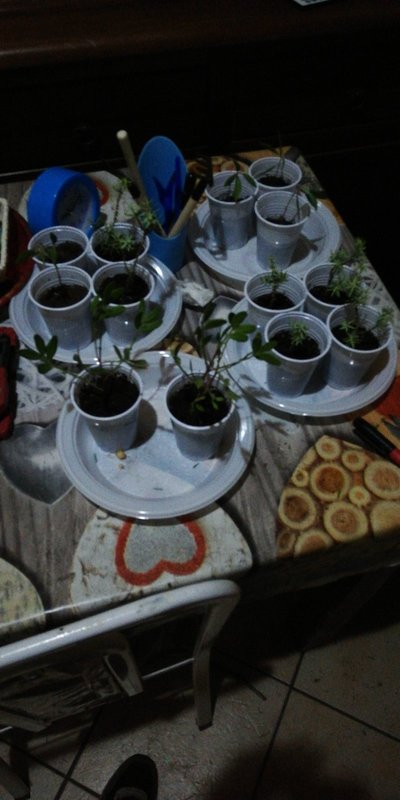 IMG-20190831-WA0001.jpeg