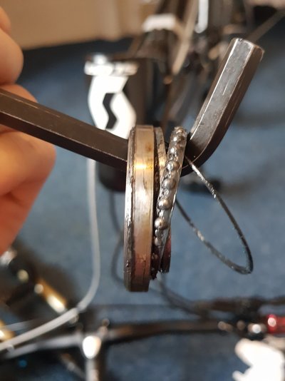 20191106_133442.jpg