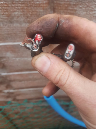 20191106_145510.jpg