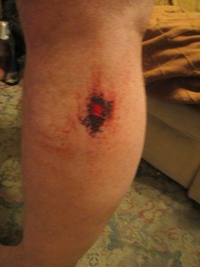 IMG_0874.JPG IMG_0874.JPG