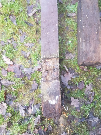 20191201_114514.jpg