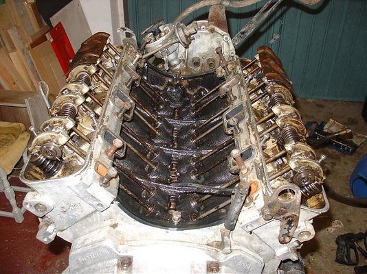 DSC02664 [800x600].jpg