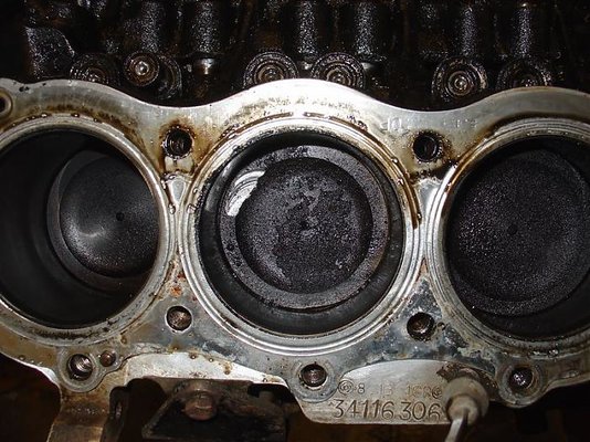 DSC02667 [800x600].jpg