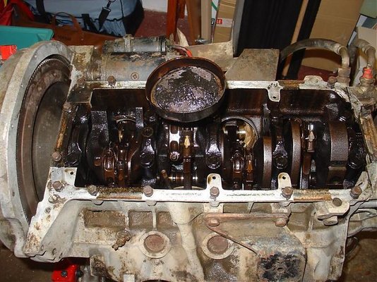 DSC02673 [800x600].jpg