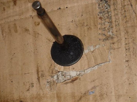 DSC02695 [800x600].jpg