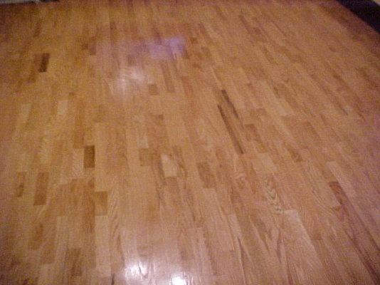 floor.jpg