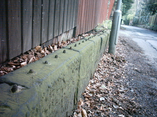 Stone 4.JPG