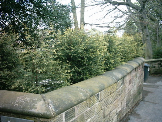 Wall 1.JPG