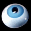 rotating_eye.gif