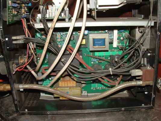 murex 005.JPG