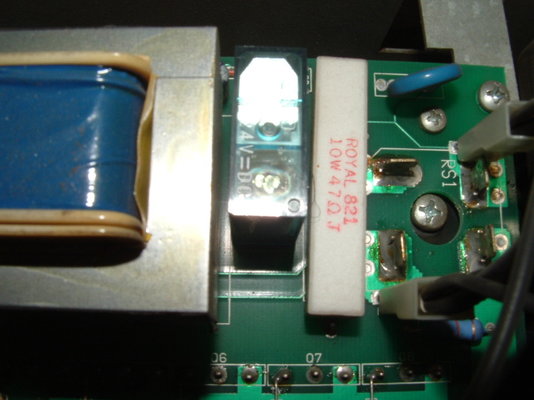 murex 003.JPG