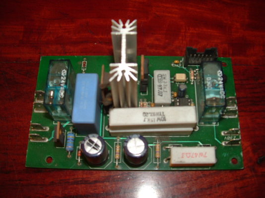 murex 008.JPG