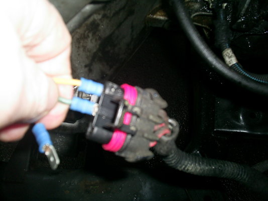 Tigra coolant Fan socket connector.JPG