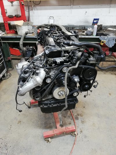IMG_20200121_063136.jpg
