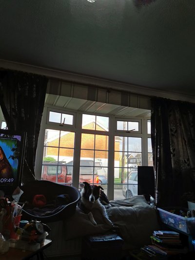 IMG_20200127_094926.jpg