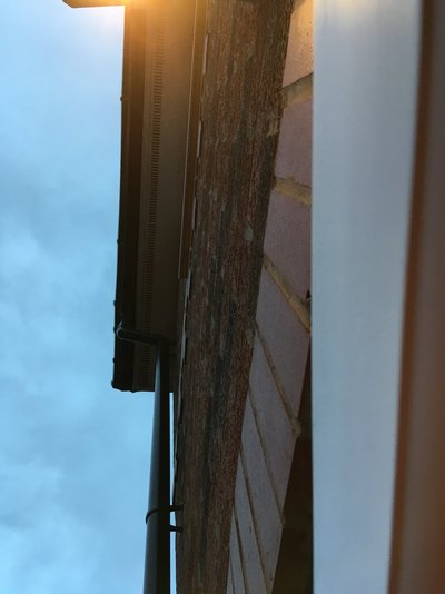 IMG_0164.JPG IMG_0164.JPG