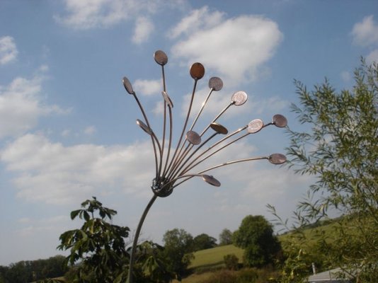 moneyflowers 012 - Copy.jpg