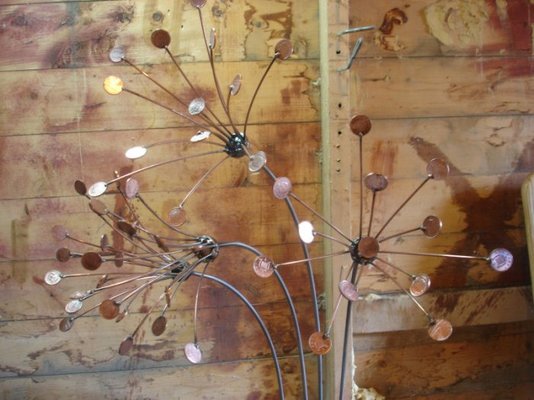 moneyflowers 015 - Copy.jpg