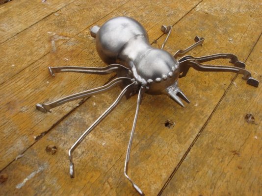 ant and spider 001.jpg