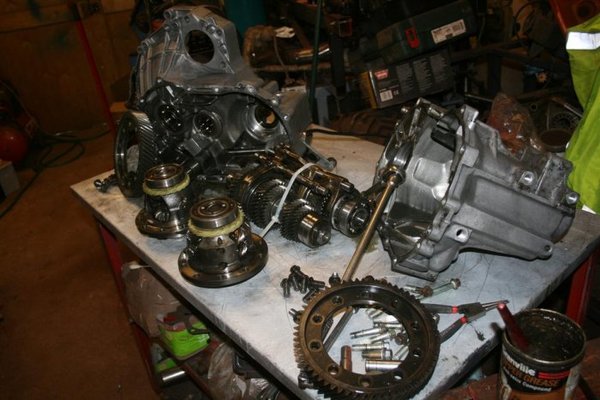 blitz 5 006 (Medium).jpg