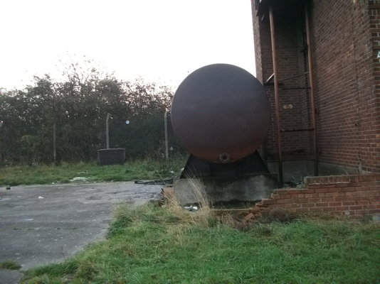 009.JPG