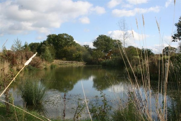 pond extension 001 (Medium).jpg