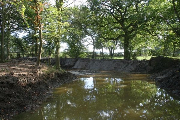 pond extension 013 (Medium).jpg