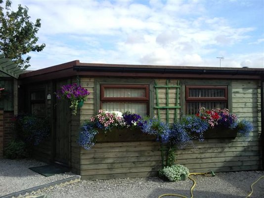 cottage flowers (Small).jpg