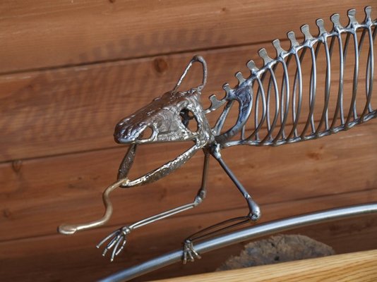chameleonmounted 032.jpg