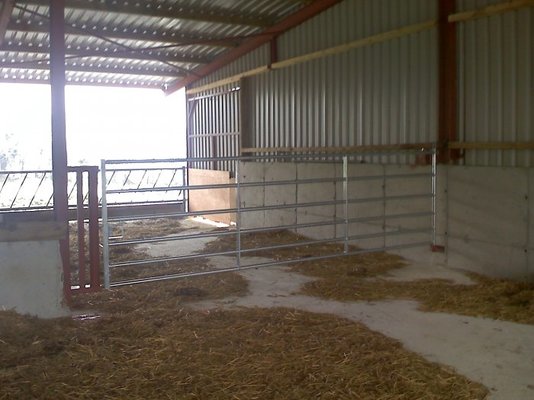 12-03-11_1032.jpg