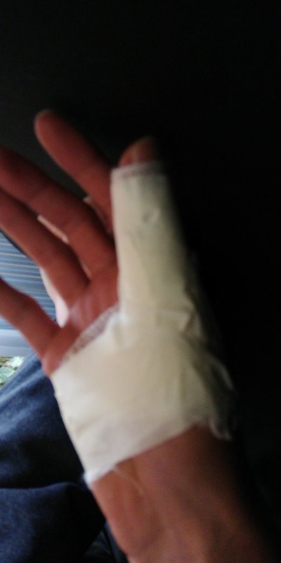 IMG-20200425-WA0001.jpeg