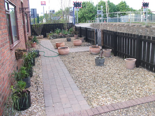 DSCF1207.JPG