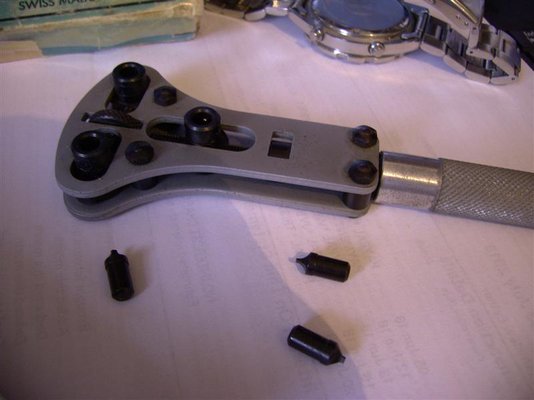 PICT002 (Medium).JPG