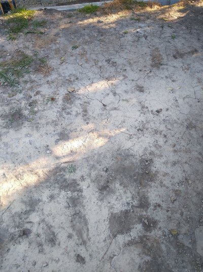IMG_20200520_183015112.jpg