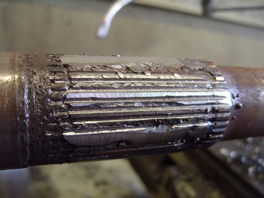 S1053238 (640x480).jpg