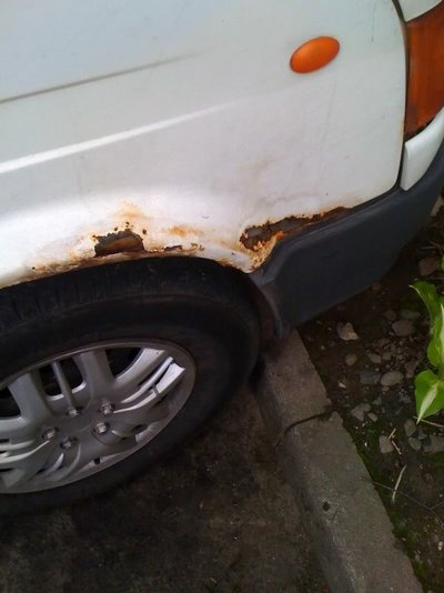 photo7.jpg