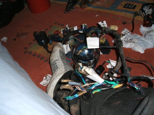 DSCF2631.jpg