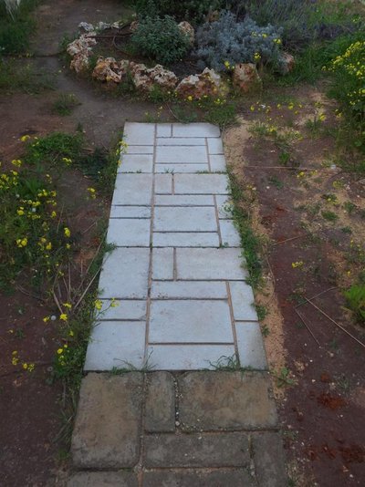 2012-02-27 07.35.32.jpg