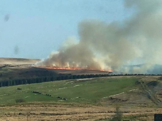 fire 1.jpg